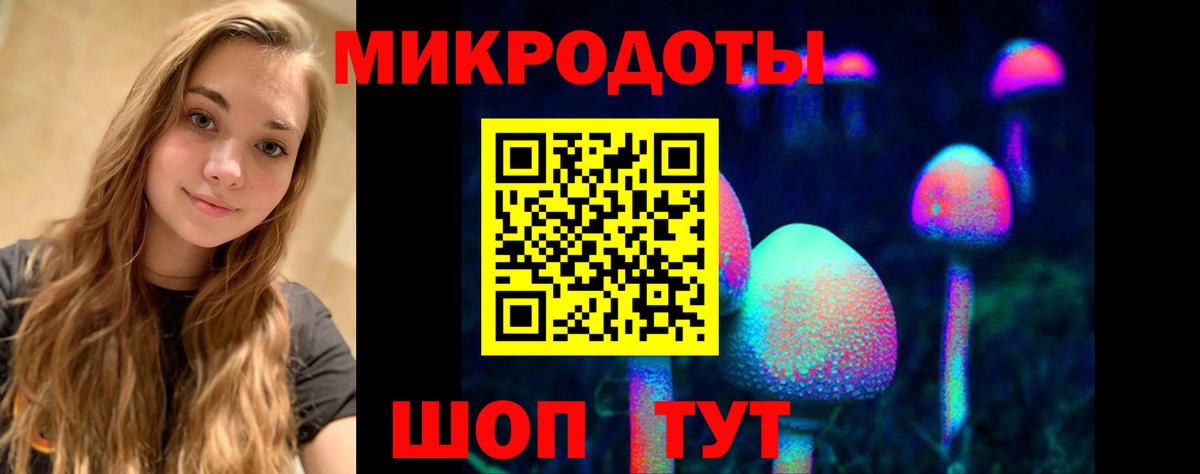 Галлюциногенные грибы Psilocybe  Вход с VPN  Псилоцибиновые грибы Psilocybine cubensis  Серпухов 